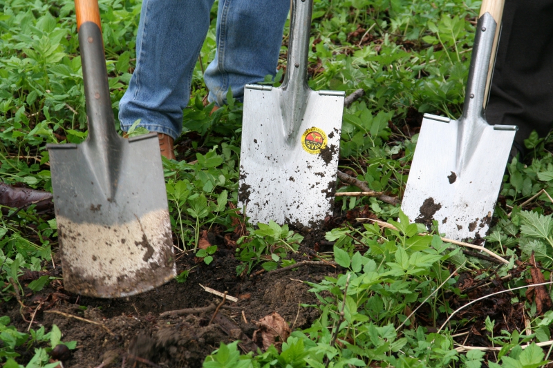 pepiniere-LES FERRES-min_work-lawn-flower-tool-green-backyard-1103633-pxhere.com